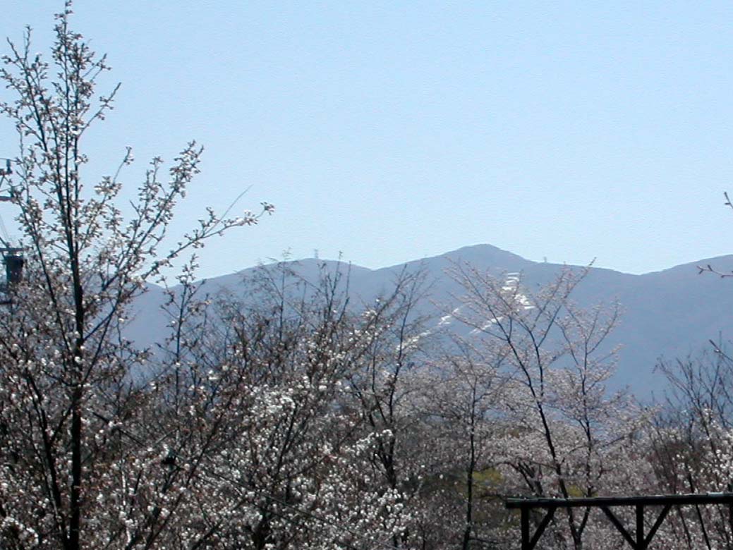 八ヶ岳の春: