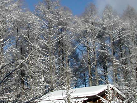 八ヶ岳の冬: